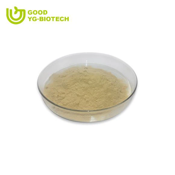 Lion's mane extract beta glucan