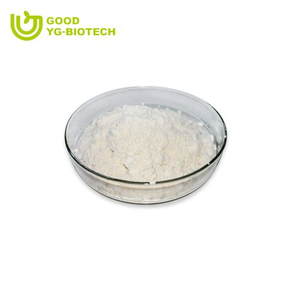 Lion's mane extract beta glucan