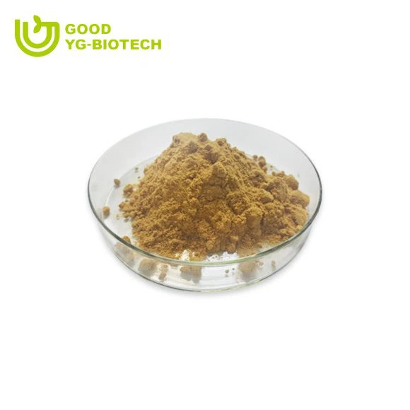 Lion's mane extract beta glucan