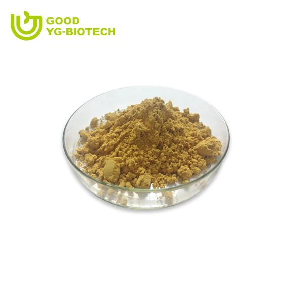 Lion's mane extract beta glucan
