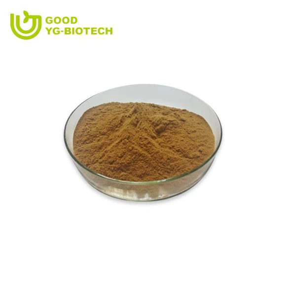 Lion's mane extract beta glucan