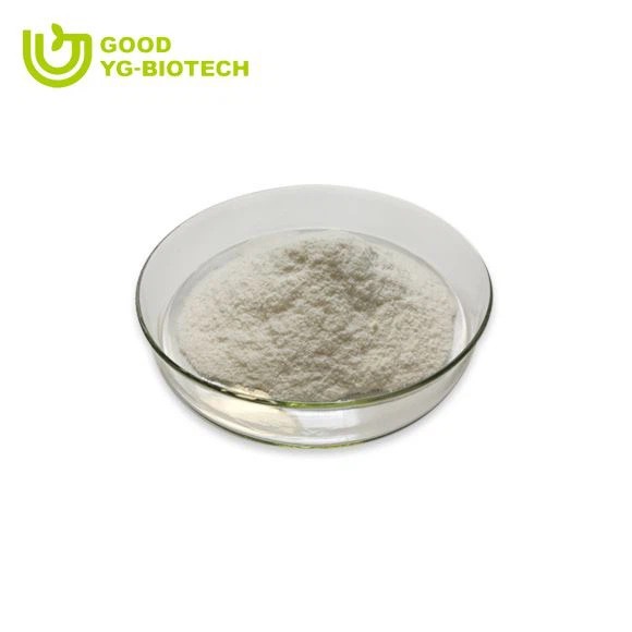 Lion's mane extract beta glucan