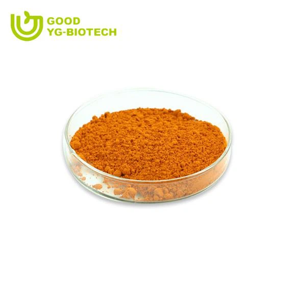 Lion's mane extract beta glucan