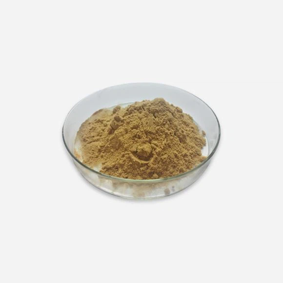 Lion's mane extract beta glucan