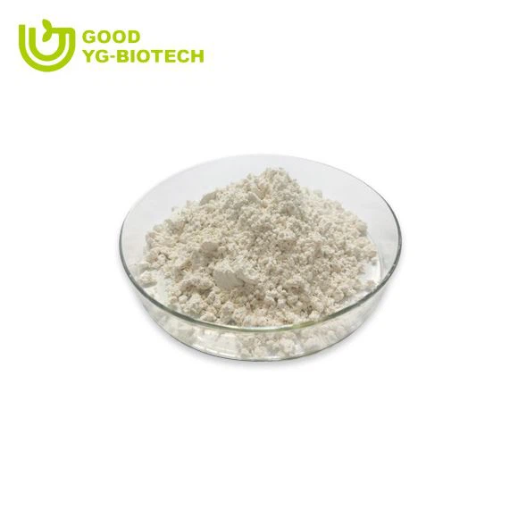 Lion's mane extract beta glucan