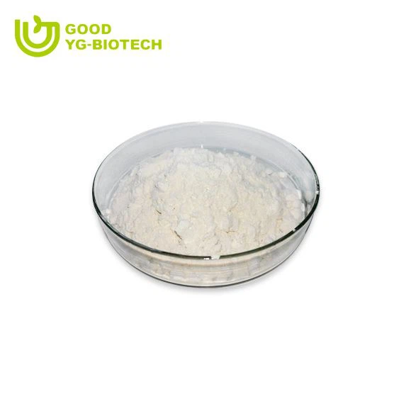 Lion's mane extract beta glucan
