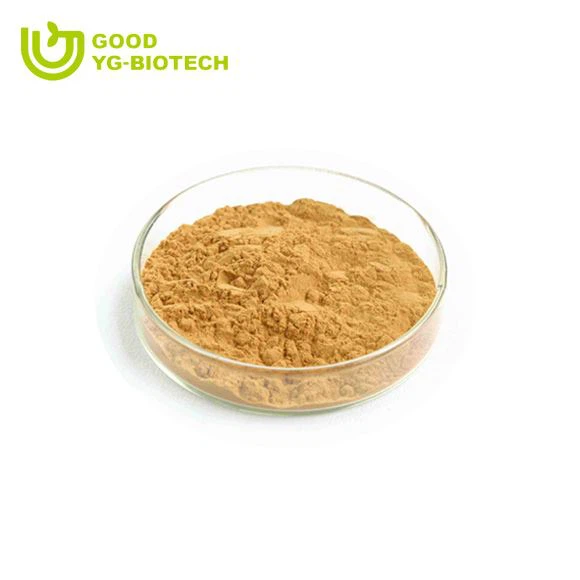 Lion's mane extract beta glucan