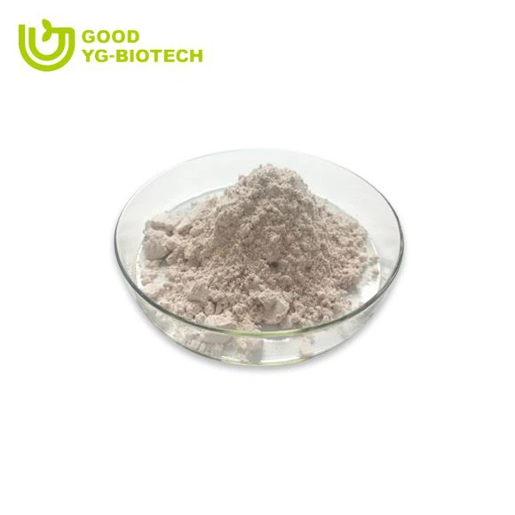 Lion's mane extract beta glucan
