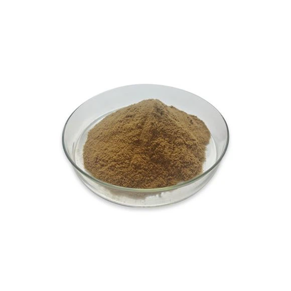 Lion's mane extract beta glucan