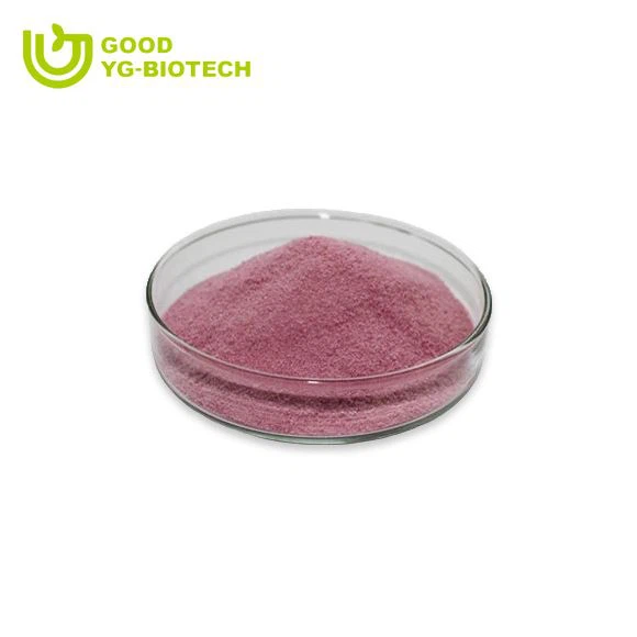 Lion's mane extract beta glucan