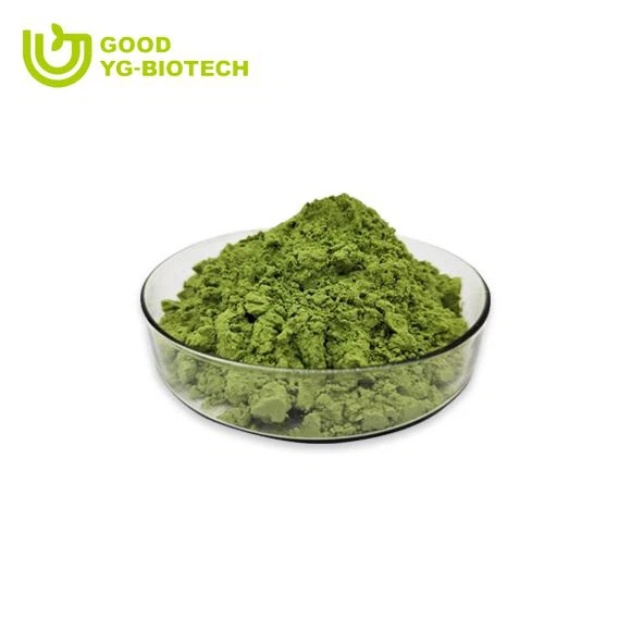 Lion's mane extract beta glucan