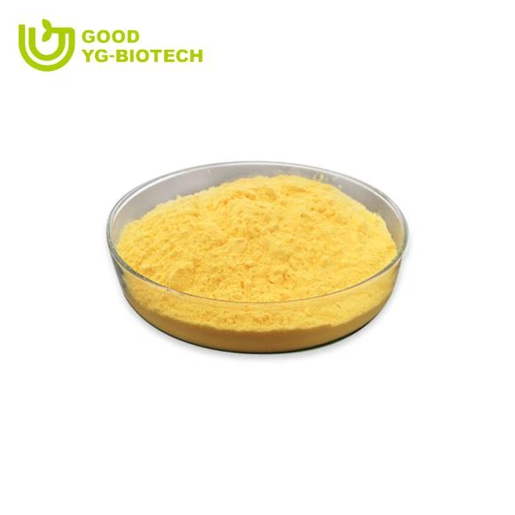 Lion's mane extract beta glucan