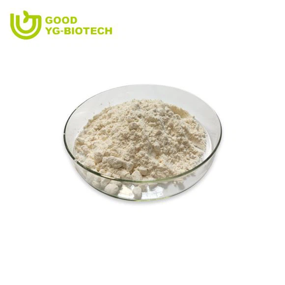 Lion's mane extract beta glucan
