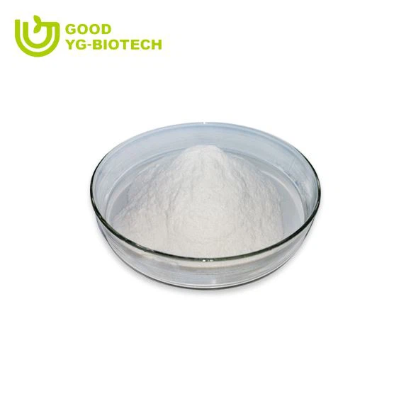 Lion's mane extract beta glucan