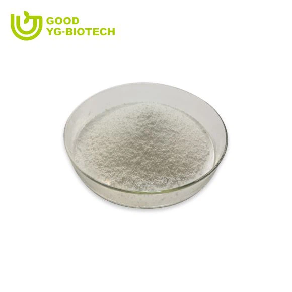 Lion's mane extract beta glucan