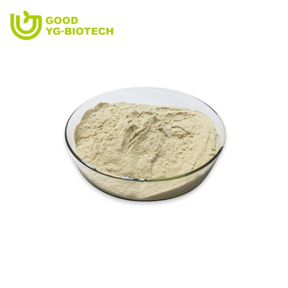 Lion's mane extract beta glucan