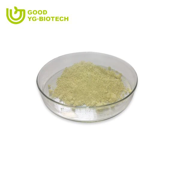 Lion's mane extract beta glucan
