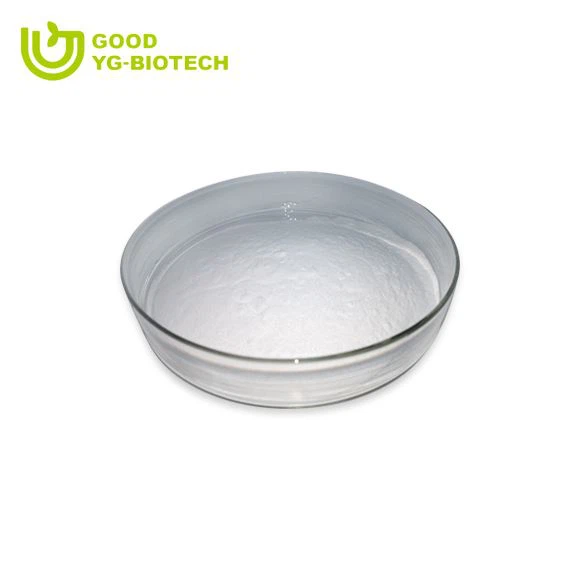 Lion's mane extract beta glucan