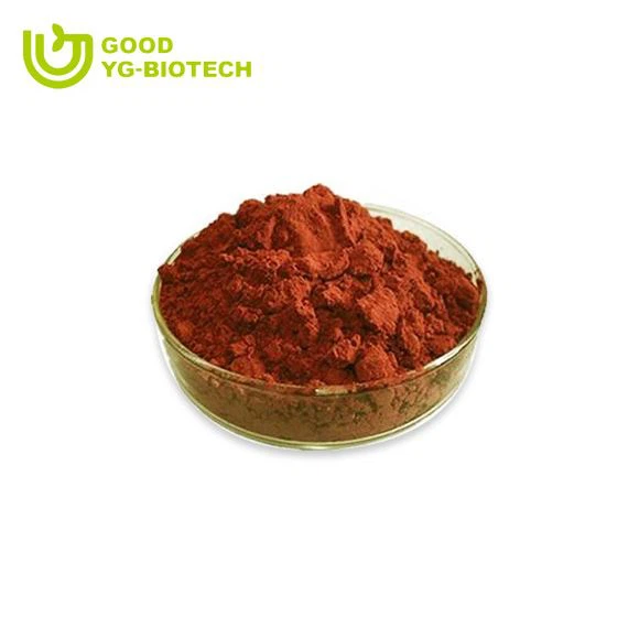 Lion's mane extract beta glucan