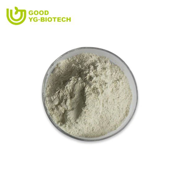 Lion's mane extract beta glucan