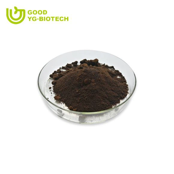 Lion's mane extract beta glucan