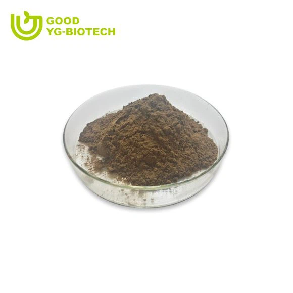 Lion's mane extract beta glucan
