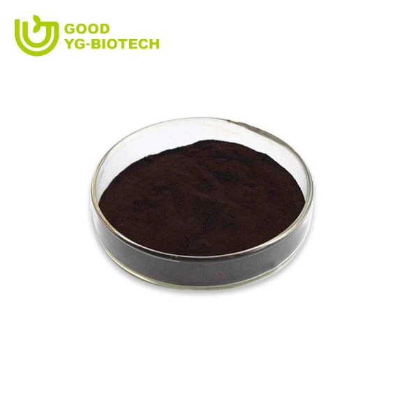 Lion's mane extract beta glucan