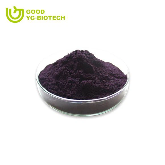 Lion's mane extract beta glucan