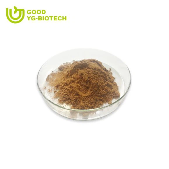 Lion's mane extract beta glucan