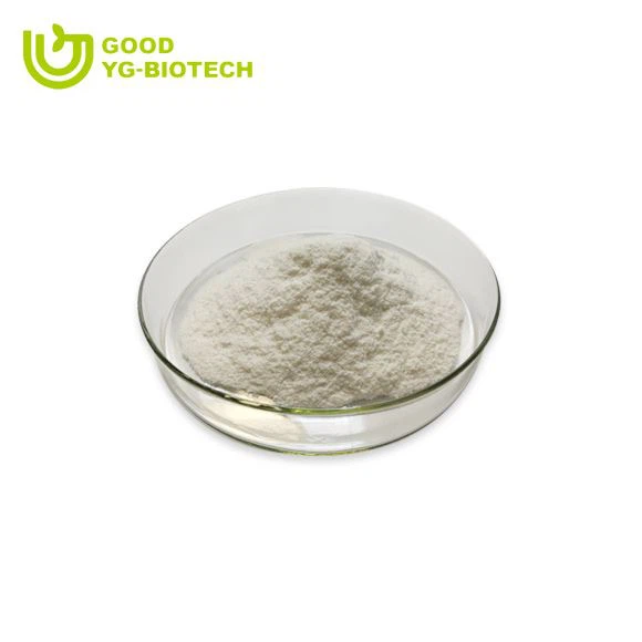 Lion's mane extract beta glucan