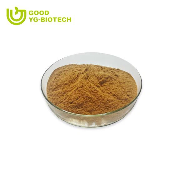 Lion's mane extract beta glucan