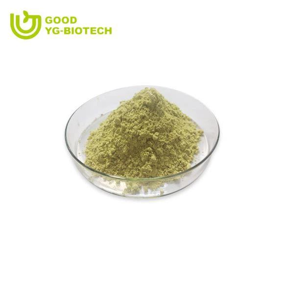Lion's mane extract beta glucan