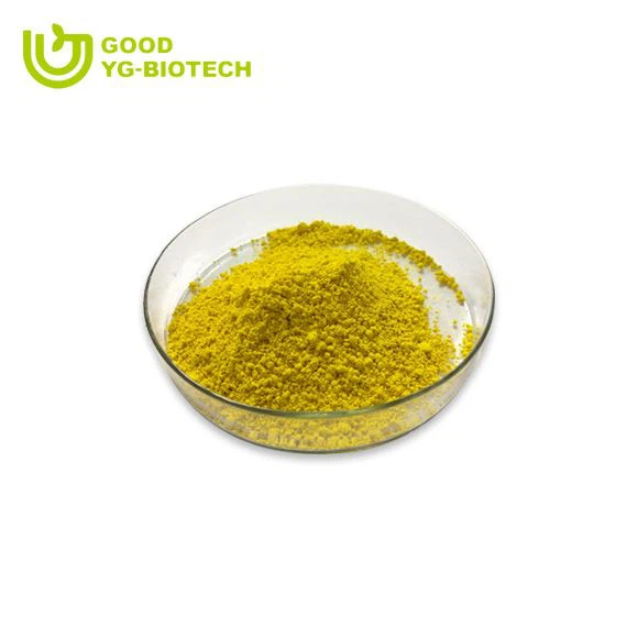 Lion's mane extract beta glucan