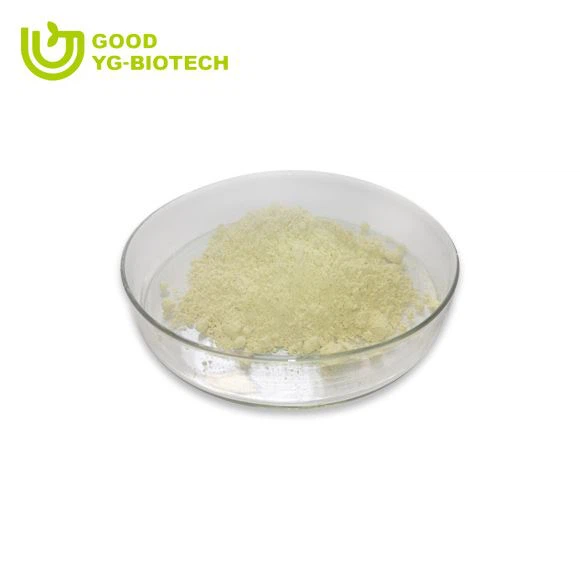 Lion's mane extract beta glucan