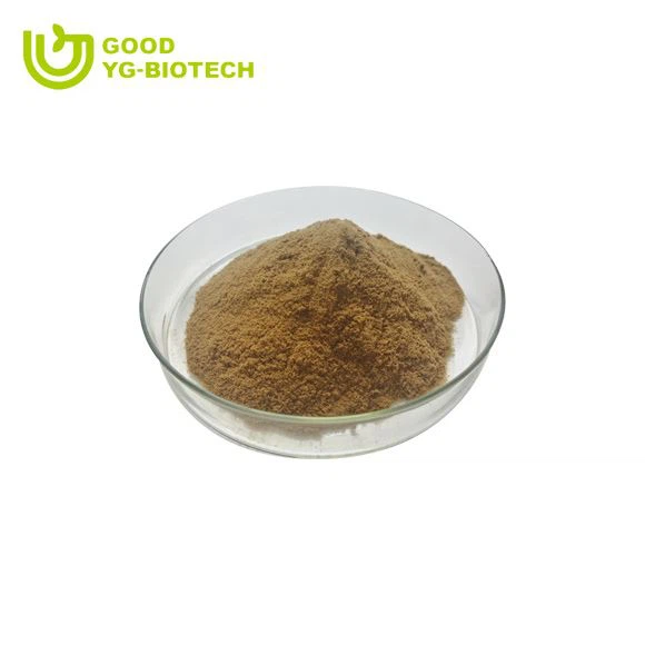 Lion's mane extract beta glucan
