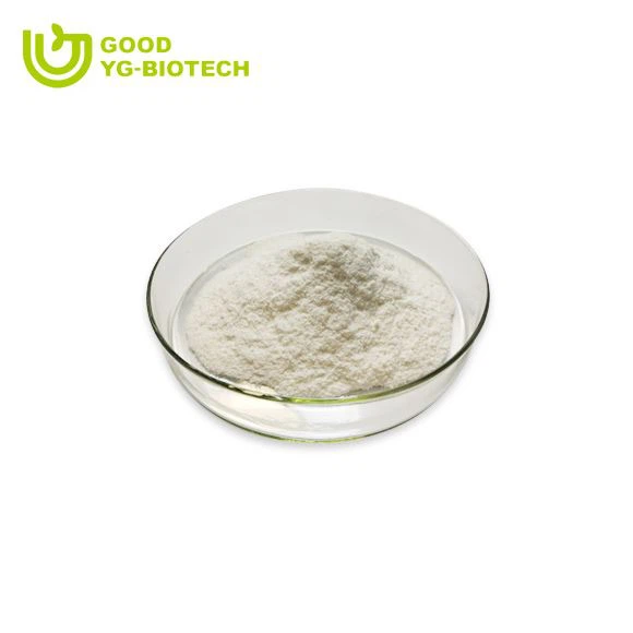 Lion's mane extract beta glucan