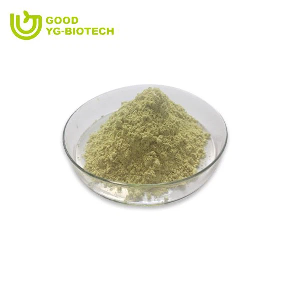 Lion's mane extract beta glucan